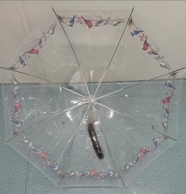 TUV automatischer offener klarer POE scherzt kompakten Regenschirm 100cm