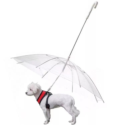 Durchsichtiger Regenschirm für Hunde, damit sie nicht nass werden
