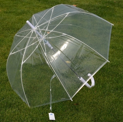 Durchsichtige Regenschirme Glasfaser Rippen für Männer Frauen