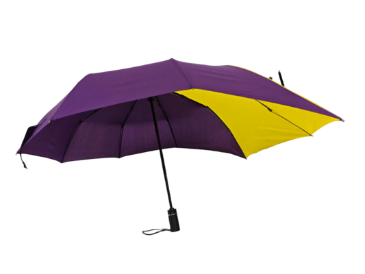 Kreativ 23 Zoll unregelmäßige Spezialform -Falten -Regenschirm