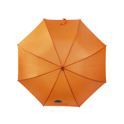Förderungs-Kunststoffgriff-Rohseide-Regen-Stock-Regenschirm