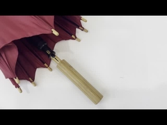 Förderungs-Regenschirm